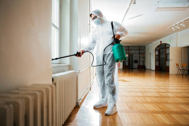 Best Flea Control Services  in Cheltenham Village, PA
